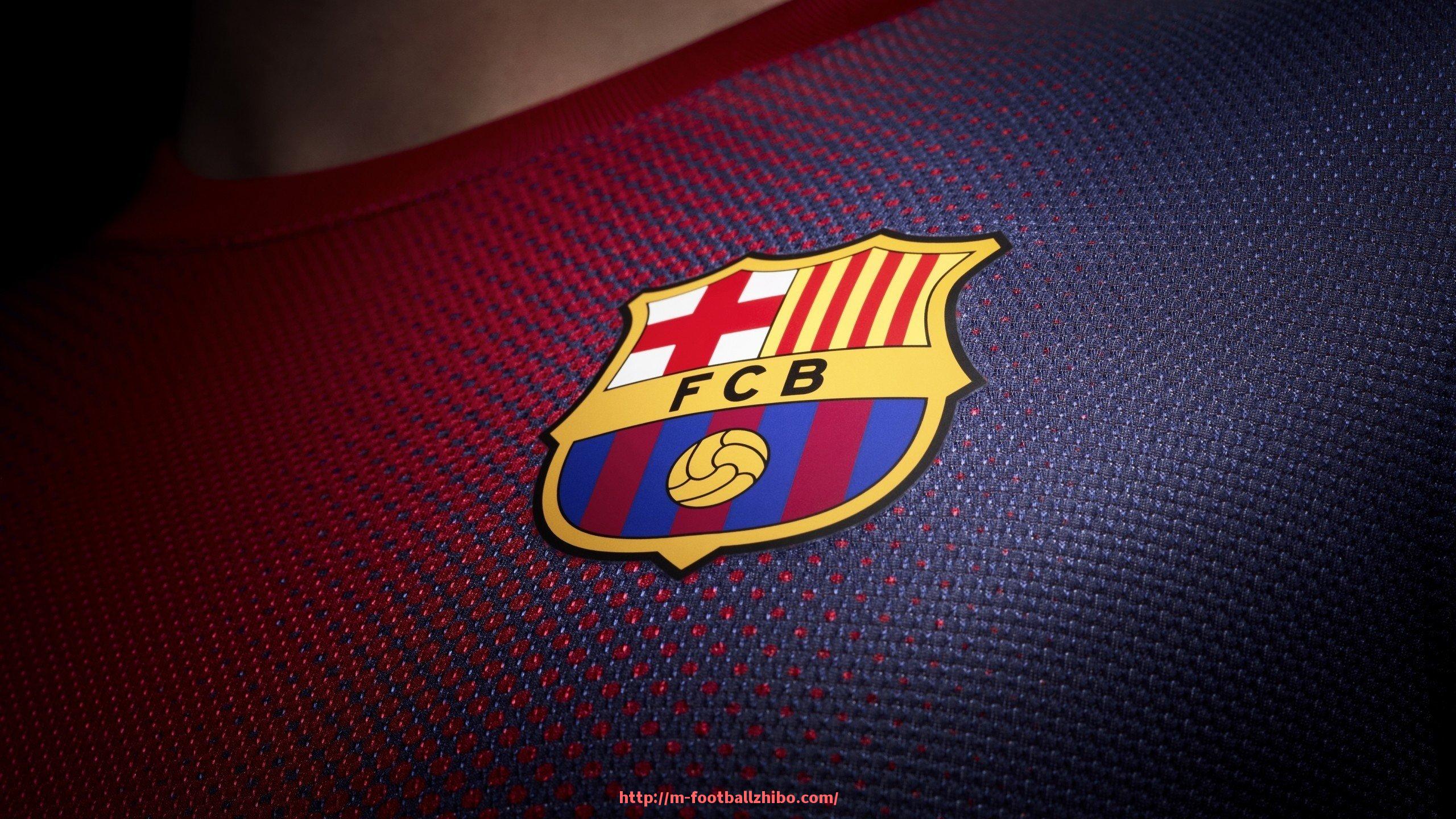 足球直播-法甲外援战术适应性的深度分析与优化建议